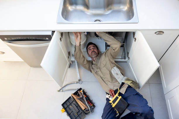 Best Best Plumbers Near Me  in Mccullom Lake, IL