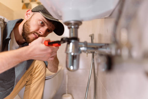 Best Septic Systems  in Mccullom Lake, IL