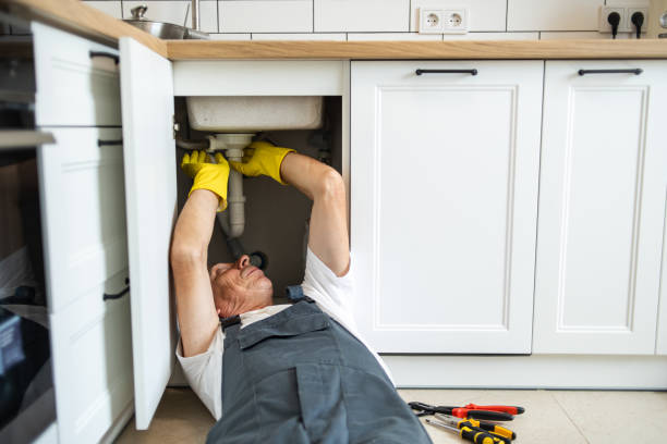 Professional Plumbing in Mccullom Lake, IL